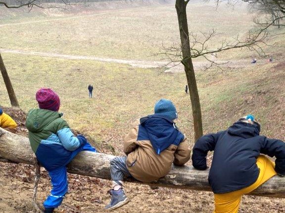 Kinder klettern auf Baumstamm im Wald.
