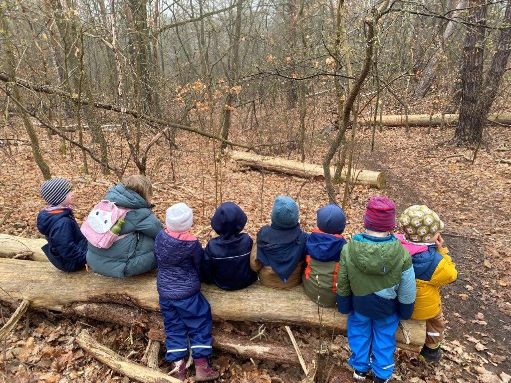 Kinder sitzen auf Baumstamm und schauen in den Wald.